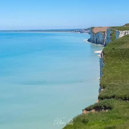 Opaline, Renove, La Mer A 50 Metres Apartment *